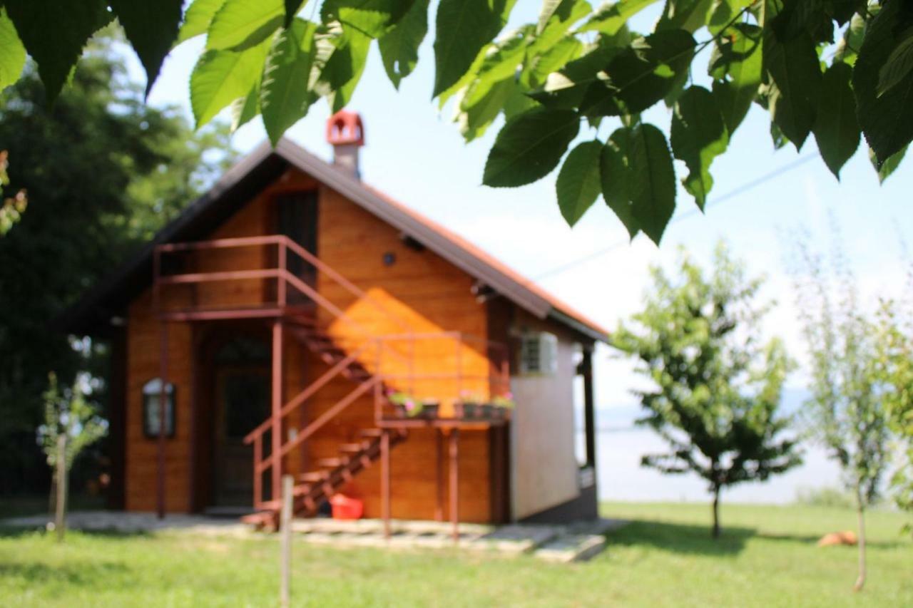 Villa Carobni breg Golubac Exterior foto