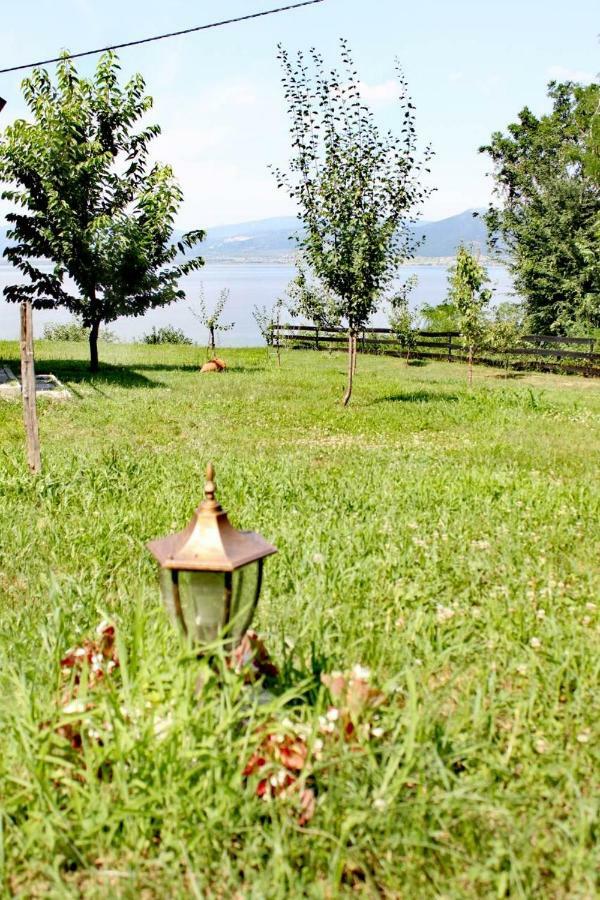 Villa Carobni breg Golubac Exterior foto